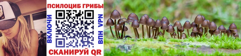 Галлюциногенные грибы Psilocybe  Кувандык 