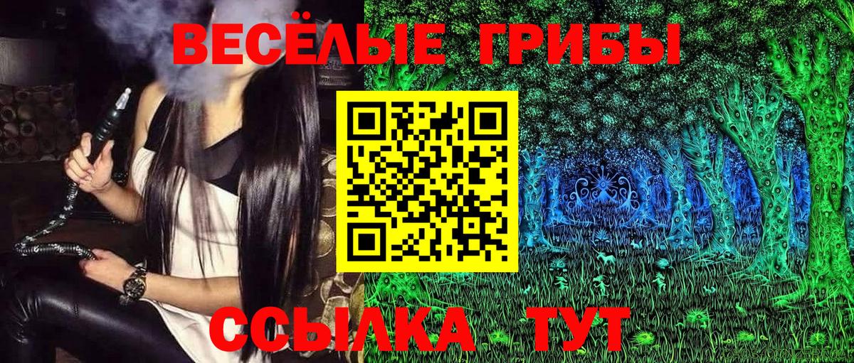 Псилоцибиновые грибы Psilocybe  Вход с VPN  Кувандык 