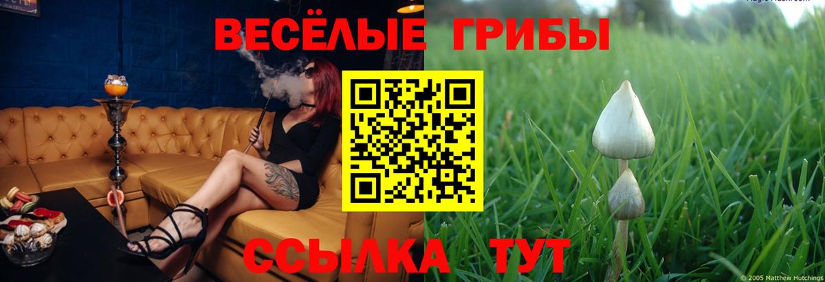 Галлюциногенные грибы MAGIC MUSHROOMS Кувандык
